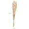 39" Cream Dried Plant Floral Bouquet Palm Leaf Natural Foliage